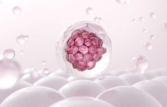 Questions to Ask Before Stem Cell Therapy