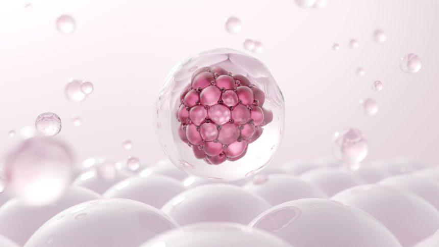 Questions to Ask Before Stem Cell Therapy