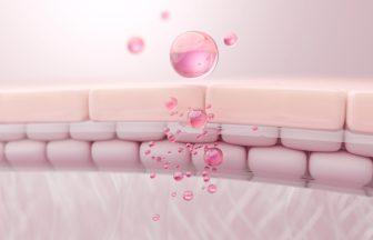 Stem Cells: Explained in Simple Terms